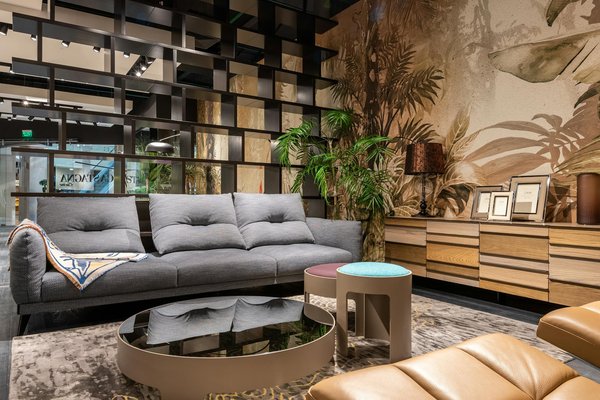 Essential Tips for Nurturing a Thriving Living Wall in Your Newcastle Office Space