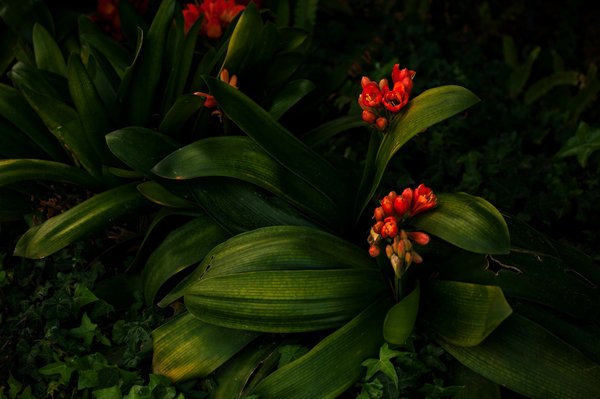 What are the best ways to incorporate natural materials into UK home decor?