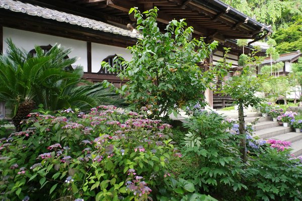 What are the best materials for building a garden pergola in the UK?