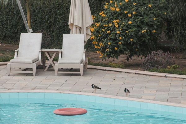 How can you design a pool that integrates with a rooftop terrace in a UK home?